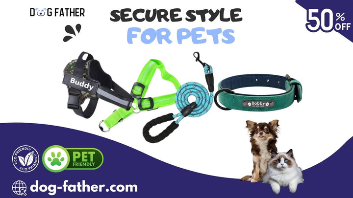 How to Choose a Dog harness, Collar or Leash?
