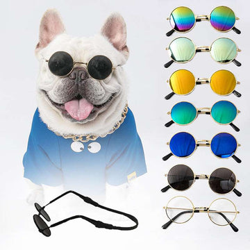 Buy Pet Sunglasses