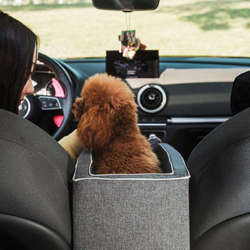 Pet Armrest Safety Carrier Car Seat