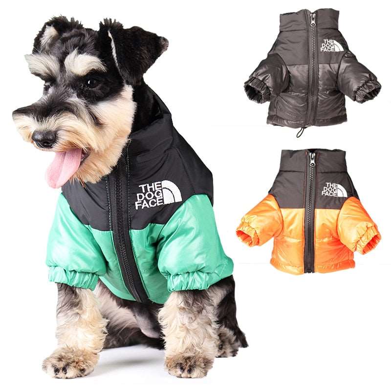 Best dog jacket 