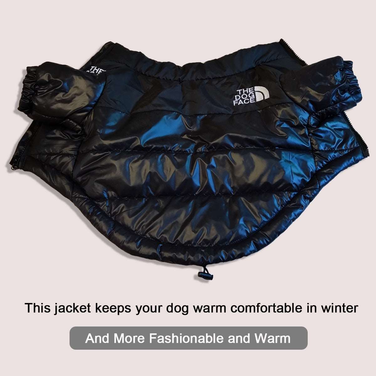 Warm Dog Jackets for dogs