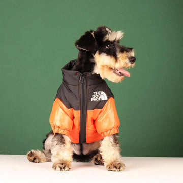 Luxury dog jacket online 