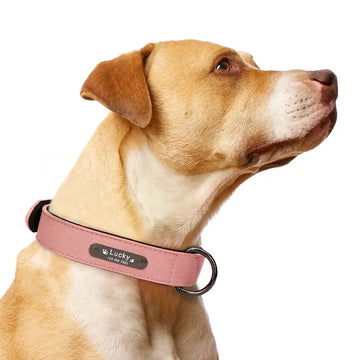 Luxury Personalized Leather Dog Collar & Leash (Laser Engraving)