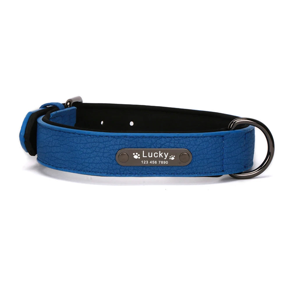 Luxury Personalized Leather Dog Collar & Leash (Laser Engraving)