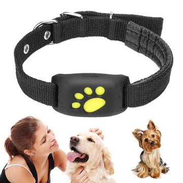 GPS Tracker Collar for Pet