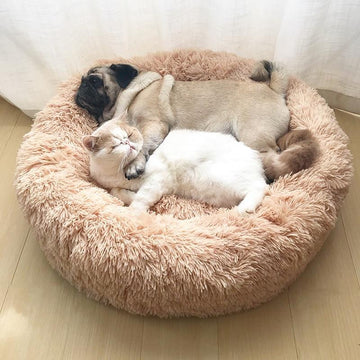 Fluffy Donut Pet Bed 
