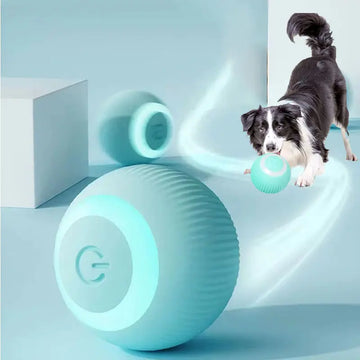 Interactive No-Noise Moving Ball Toy (Dogs & Cats)