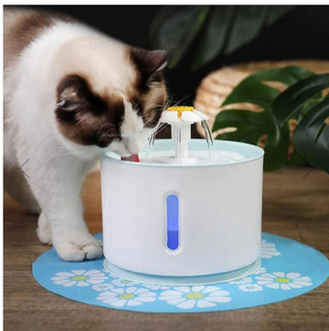 Exclusive Cat Water Fountain